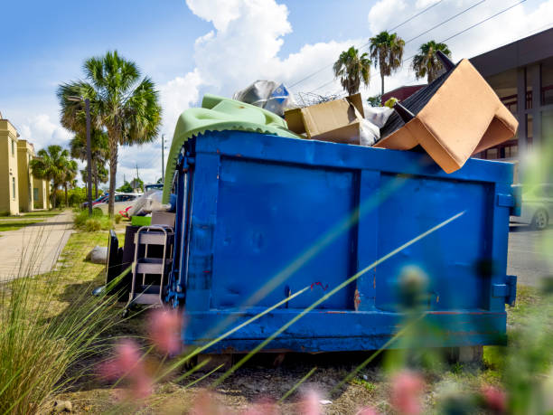 Basement Cleanout Services in Jemison, AL